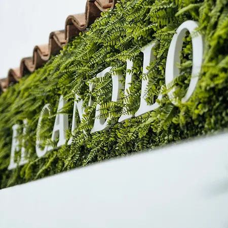 El Candilo Apartment *